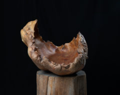 Large unusual wood bowl with an organic shape just as nature made it. The bowl is a hollowed piece of wood that's been made from one single piece.