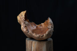 Large unusual wood bowl with an organic shape just as nature made it. The bowl is a hollowed piece of wood that's been made from one single piece.